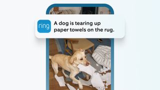 Ring Single Event Alert