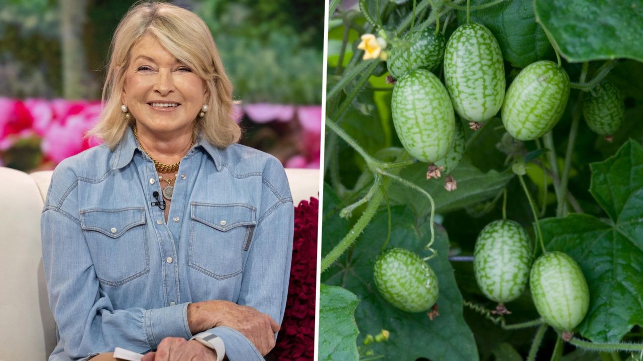 Martha Stewart and cucamelon