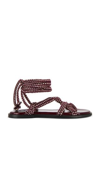 cihkkLboDfb3y8s5CnnDFH-320-80 داخل Paracord Trend Miu Miu ومستشارو Camp Love