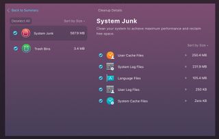 CleanMyMac X System Junk