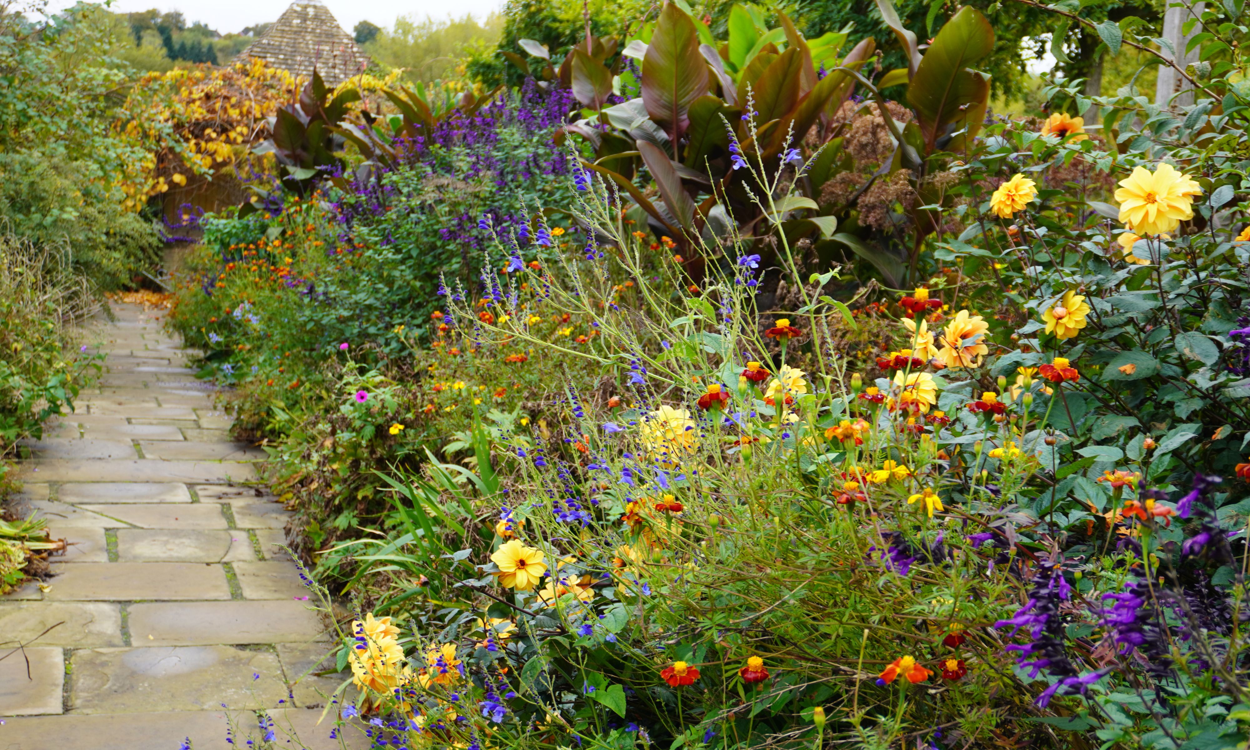 Mixed flower borders at Gravetye Manor in October