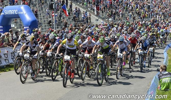 A large field at the start