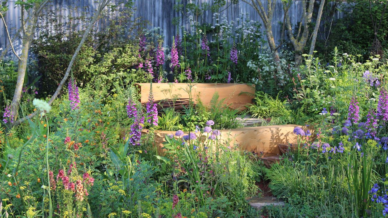 Foxgloves at the RHS Chelsea Flower Show 2024