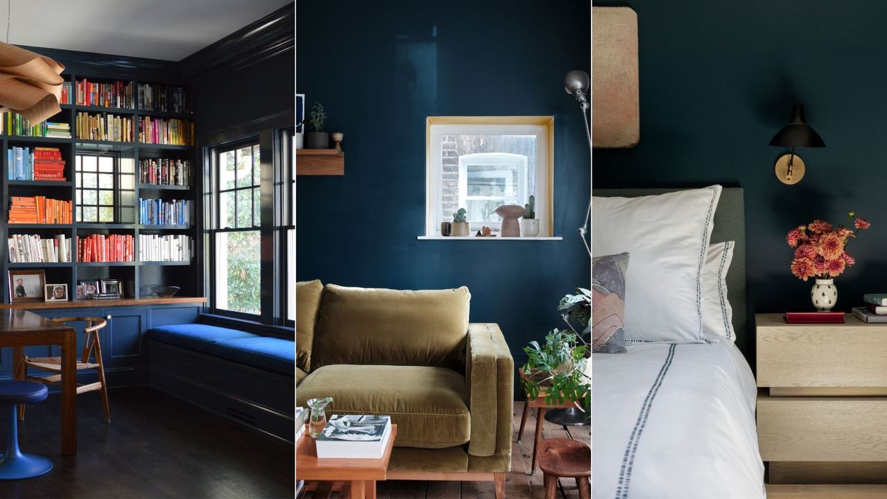 library room painted dark blue, living room painted dark blue, dark blue bedroom