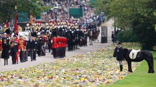 Emma, the monarch's fell pony, watches the Ceremonial Procession of the coffin of Queen Elizabeth II