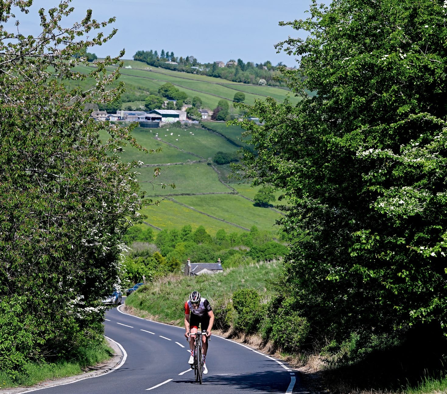 CYW537.feature1.SW_LodgeLane