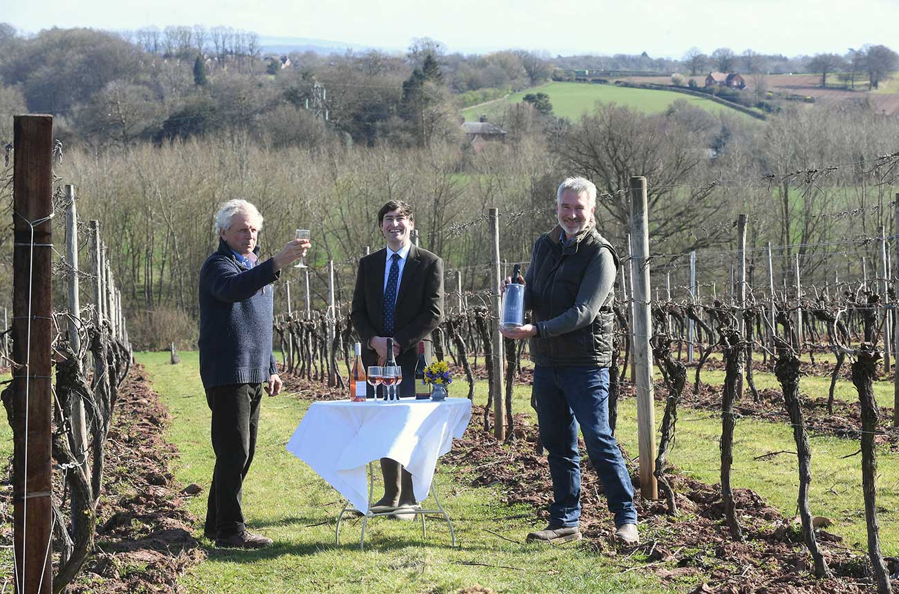 An english vineyard focused on Pinot Noir has come up for sale.