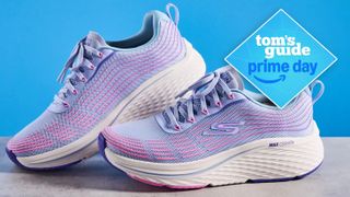 a photo of the Skechers max cushioning