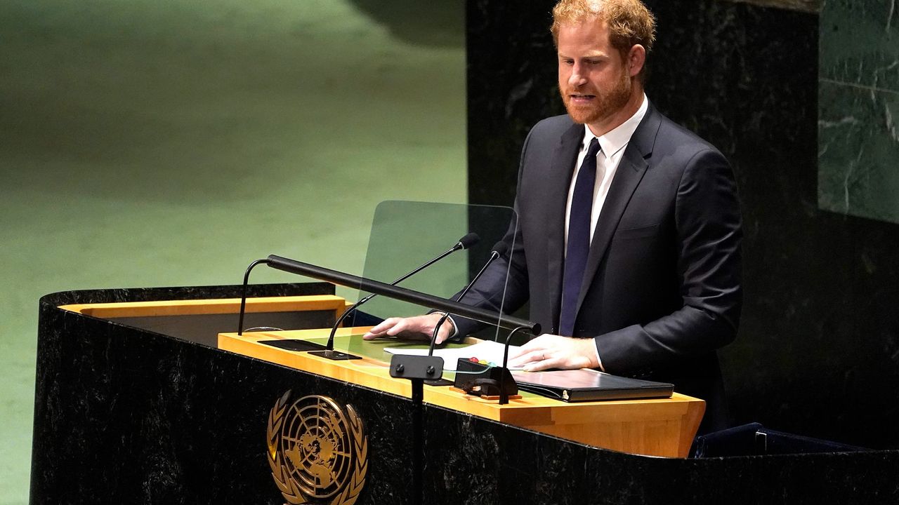 Britain&#039;s Prince Harry Delivers An Address At The U.N. General Assembly