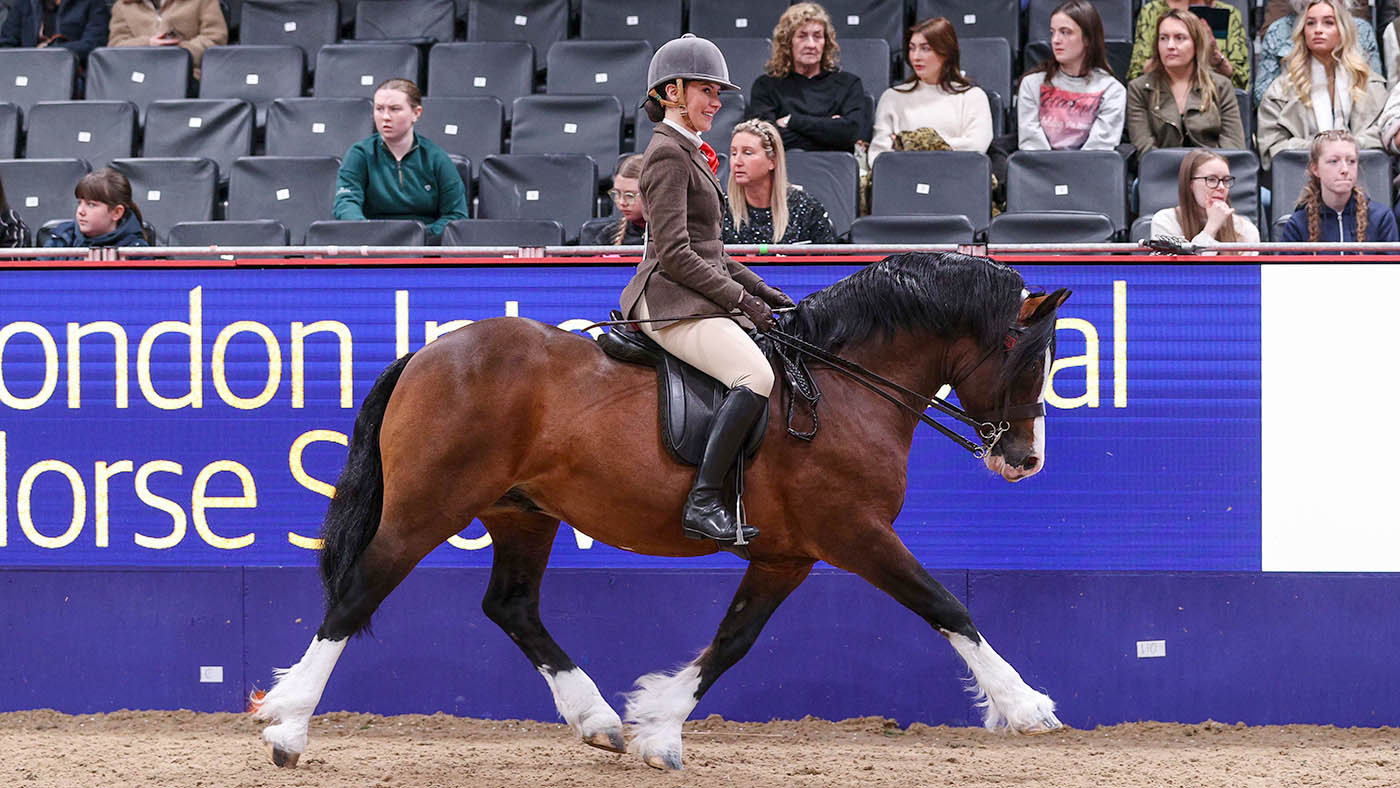 HorseNo_317_LIHS_PN24_183312