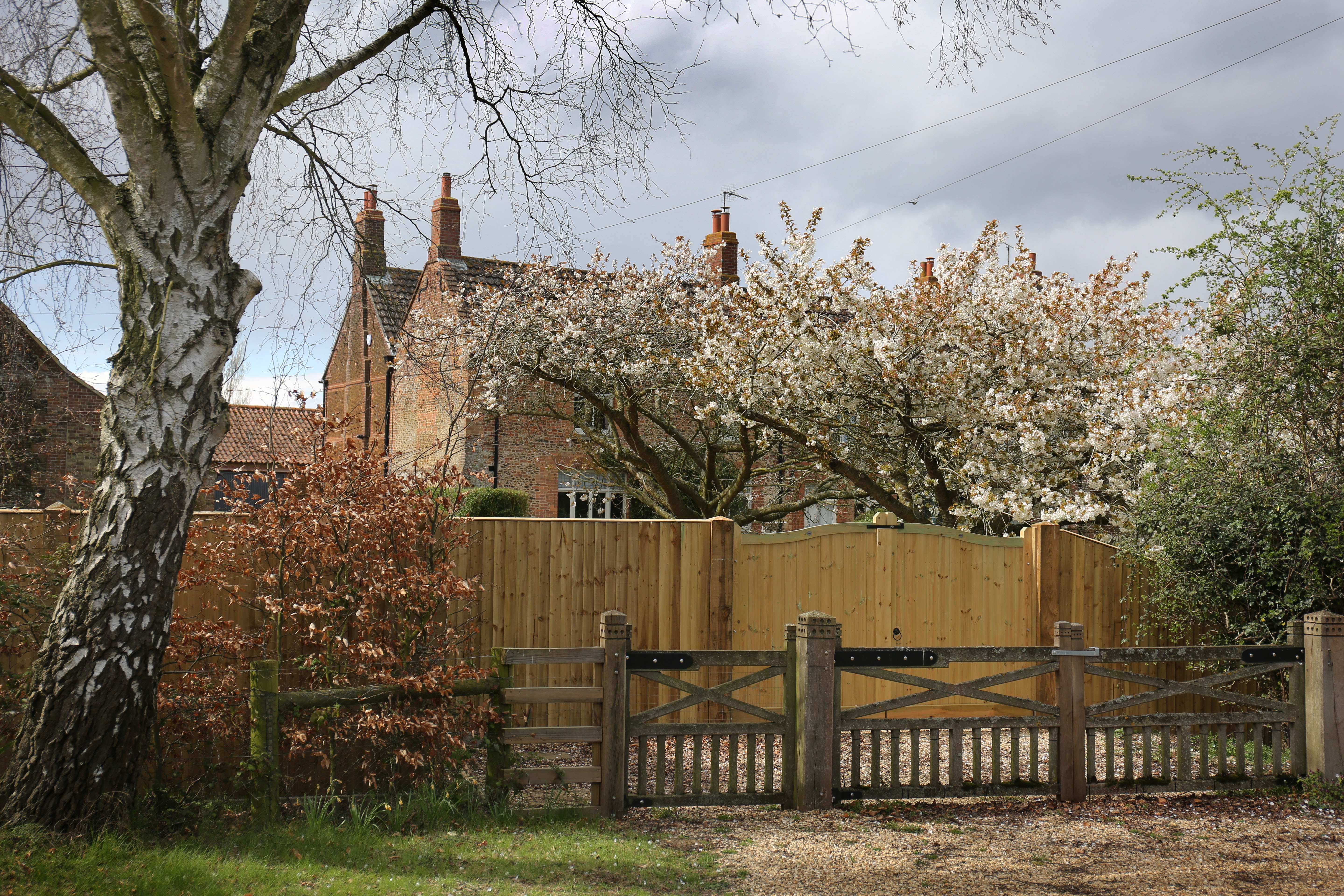 The exterior of Marsh Farm with a flowering tree