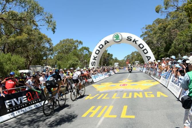 Willunga Hill was packed with Australian cycling tifosi