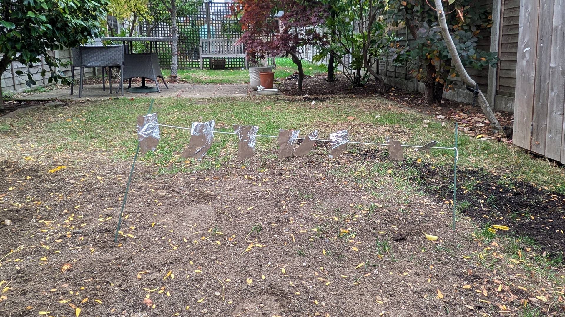 Aluminum foil to scare birds off grass seed
