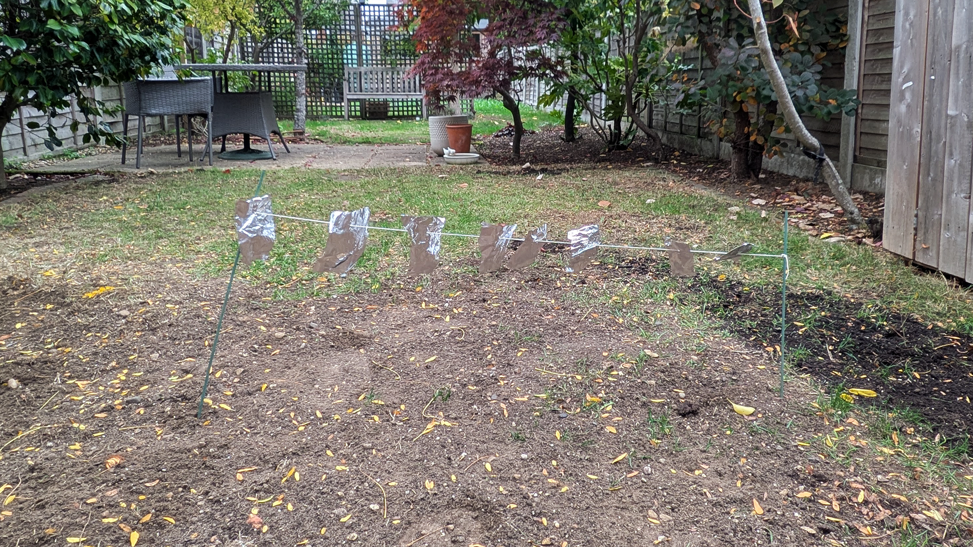 Aluminum foil to scare birds off grass seed