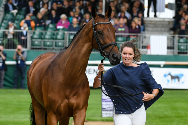 STAR-NOUVEAU_LRBHT_NP18_72607.jpg