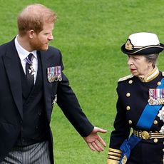 Prince Harry wears a suit with medals attached and spreads his arms out while speaking with Princess Anne, who is dressed in military uniform