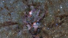 This image from ESO&rsquo;s VISTA telescope captures a celestial landscape of vast, glowing clouds of gas and tendrils of dust surrounding hot young stars.