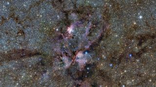 This image from ESO’s VISTA telescope captures a celestial landscape of vast, glowing clouds of gas and tendrils of dust surrounding hot young stars.