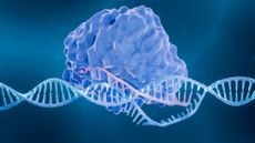 conceptual image shows a protein complex cutting open a DNA molecule