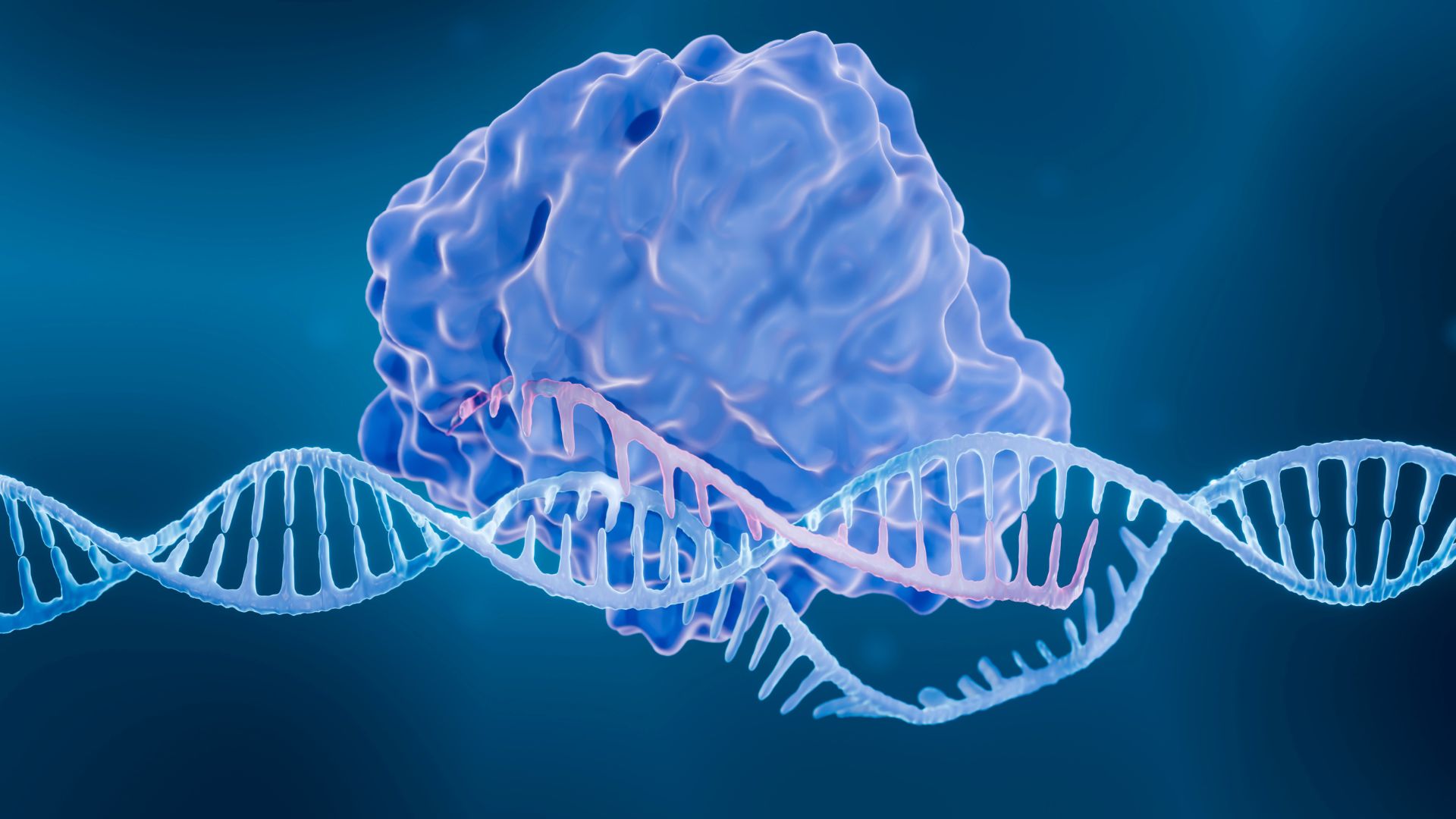 Meet Fanzor The 1st Crispr Like System Found In 6300