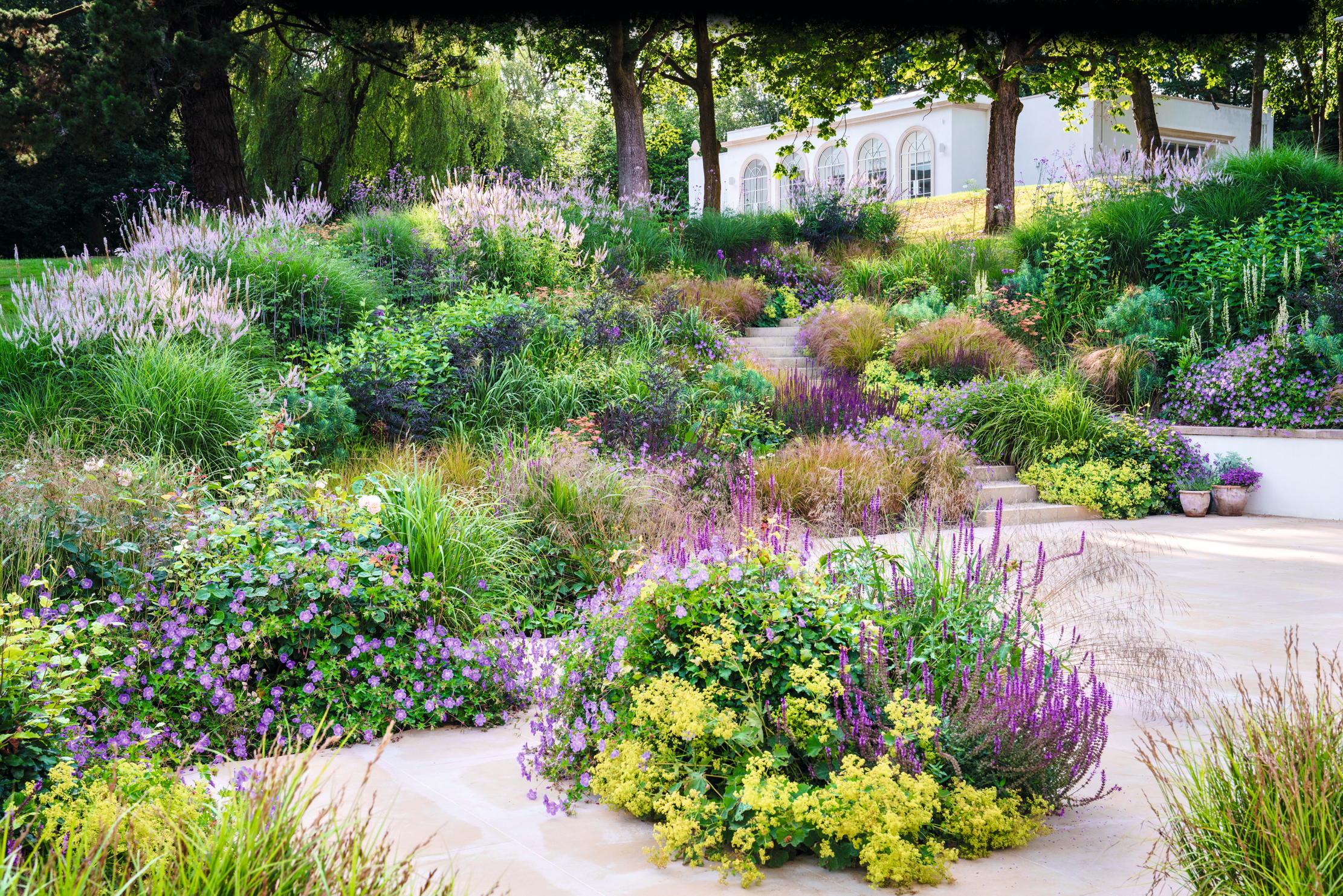 Miria Harris&#039;s dramatic planting with Salvia nemorosa &#039;Caradonna&#039;, geraniums and Alchemilla mollis and the new pool house above.