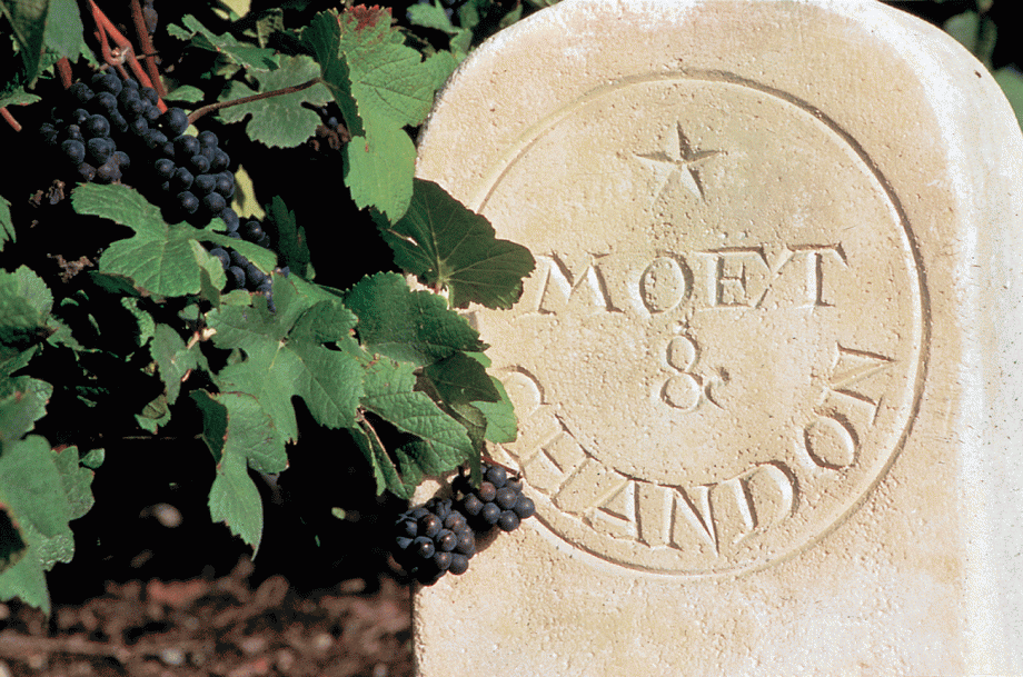 Mo&euml;t & Chandon 2013