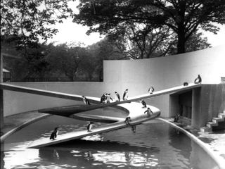 Penguin Pool at London Zoo, designed by Berthold Lubetkin and the Tecton Group and completed in 1934 (c) Bond & ZSL (2)