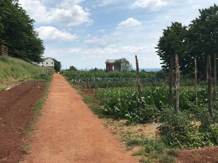 Road on Monticello grounds