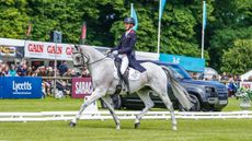Bramham Horse Trials dressage &ndash;&nbsp;Tom Jackson and Ask For Manchier