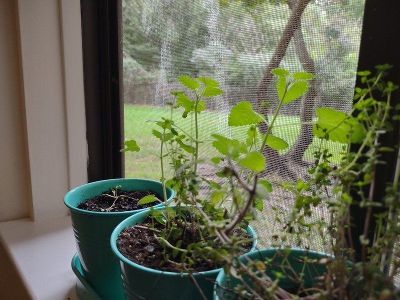 Motorola One 5G Camera Sample