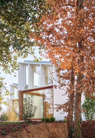 contemporary spanish house seen behind tree