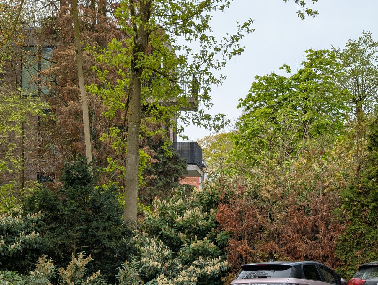 Google Pixel 8 Pro voorbeeldfoto