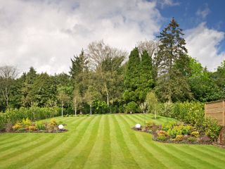 Large garden with mature trees and perfectly manicured lawn