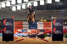 Maikel van der Vleuten and Dyywis win the six-bar in Madrid Horse Week