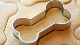 Homemade pumpkin dog treats: Pumpkin and peanut butter