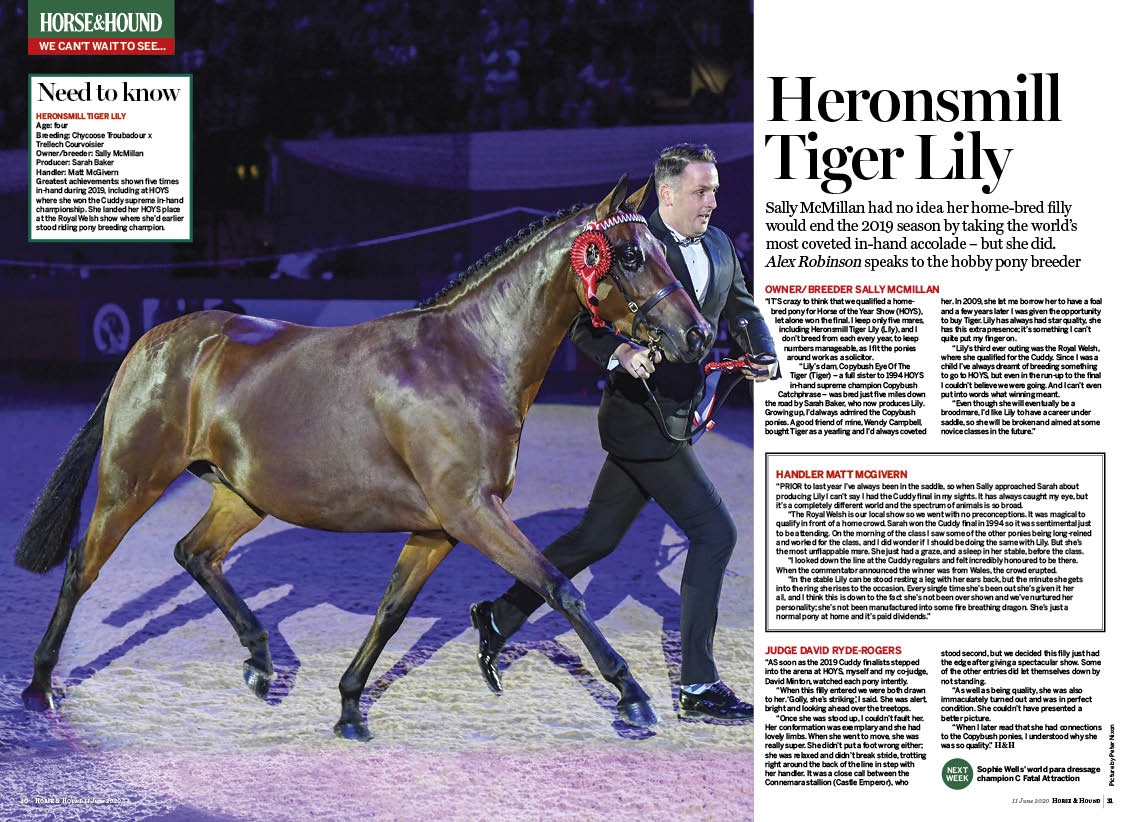 FT 2p WCW Heronsmill Tiger Lily