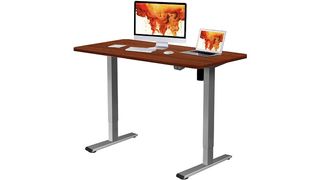 Flexispot electric height-adjustable desk