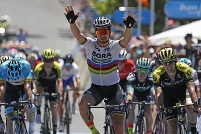 Peter sagan tour down hot sale under