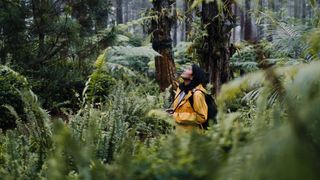 Woman lost in the forest, standing in tall plants, looking up at the trees