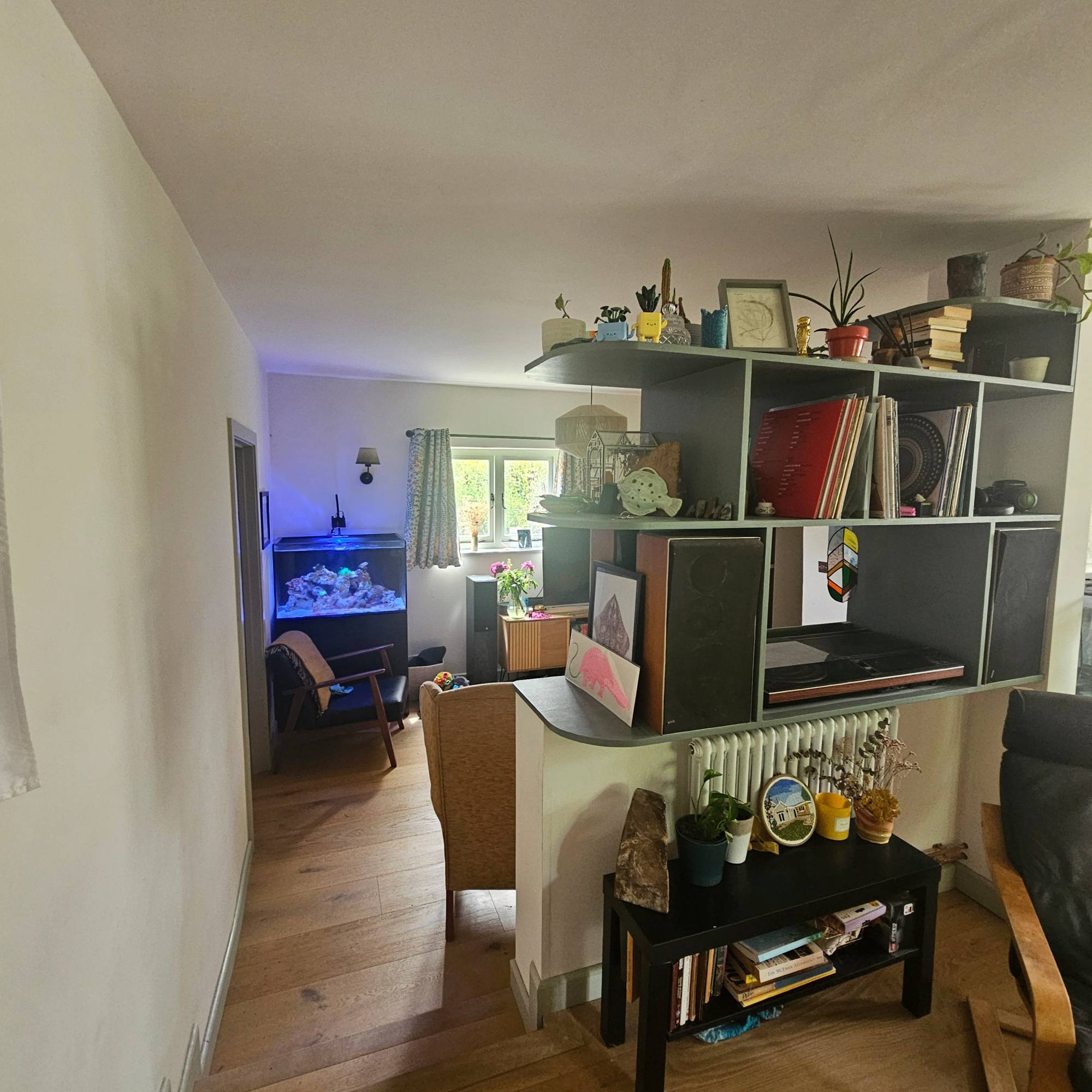 green open divider on wall in open plan space