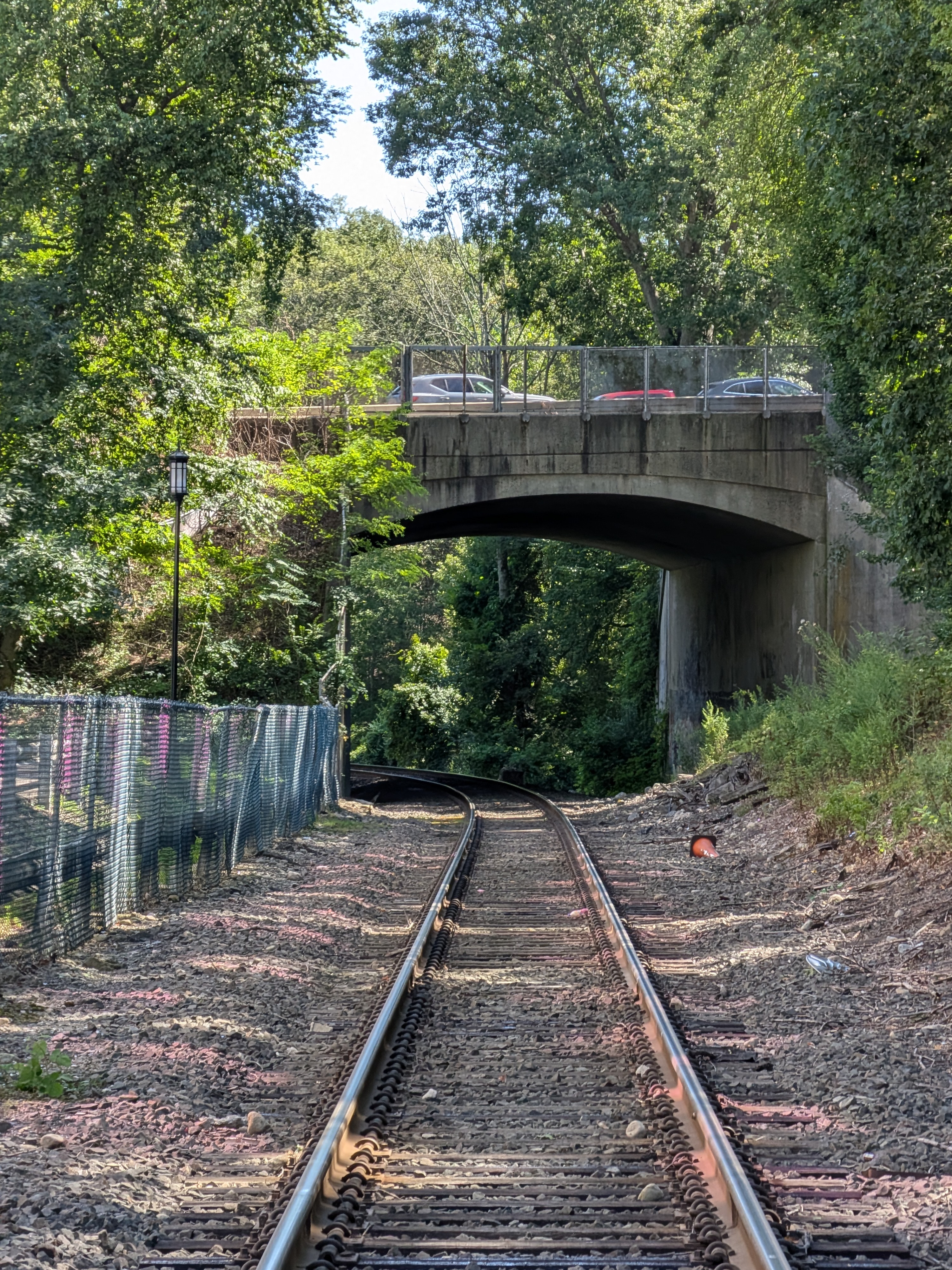 Google Pixel 10 camera image samples
