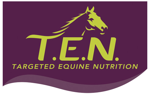 New T.E.N. logo