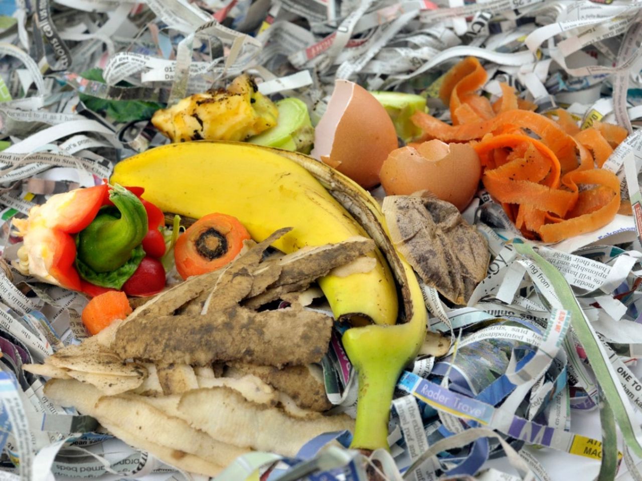 Compost Pile Of Food And Shredded Newspaper