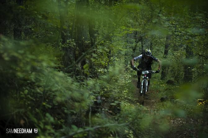 A rider in the woods