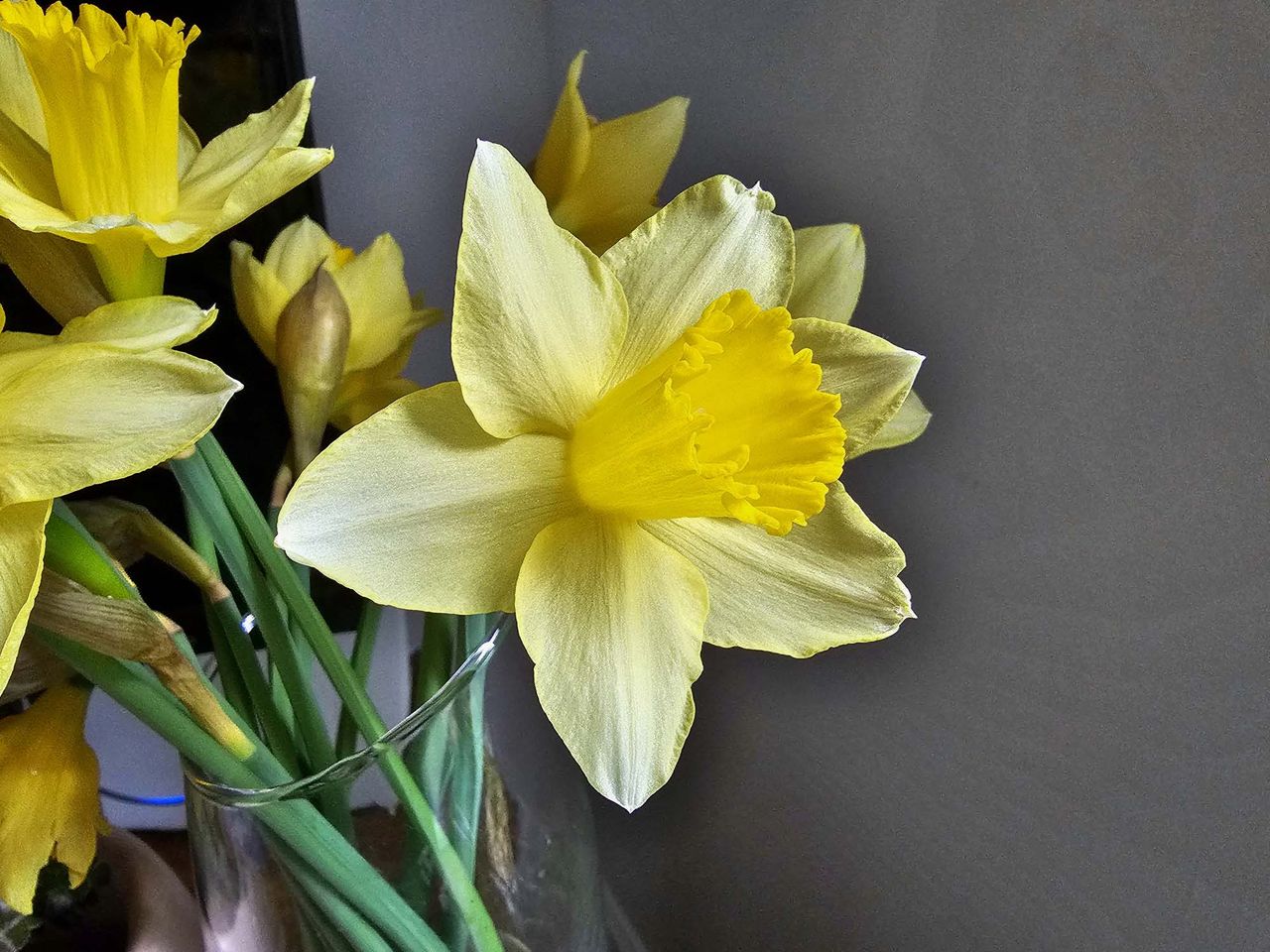 Galaxy S23 Ultra 12MP vs. 200MP gallery