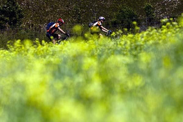 Two teammates on the final stage