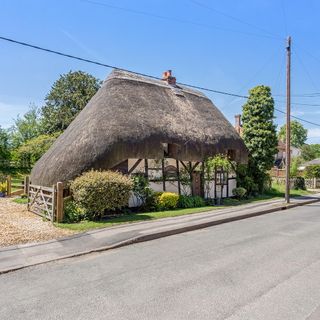 thatched house with plants