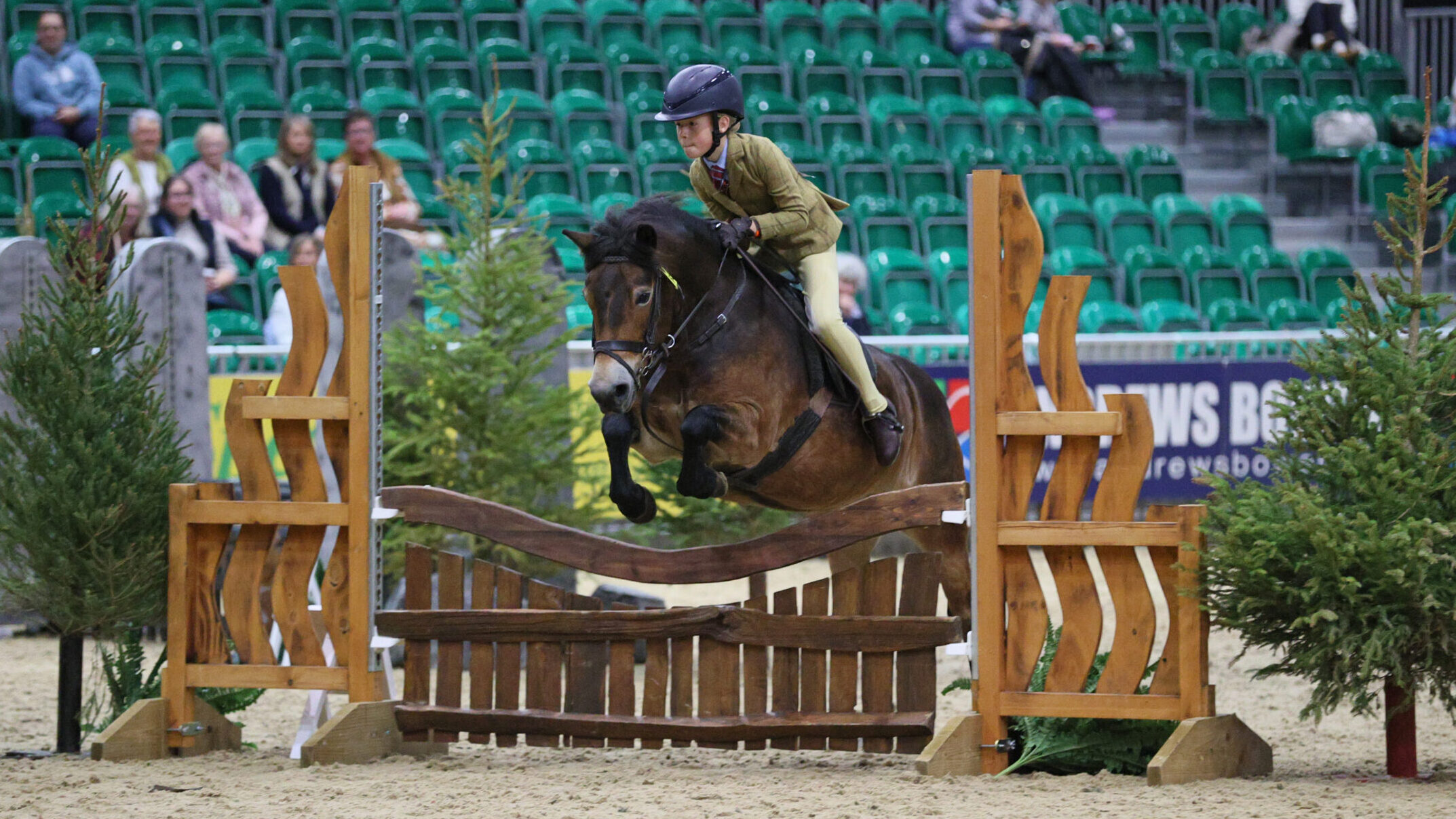 Anchor Lullaby and Alice Bowling-Hartenfeld jump to glory in the M&amp;amp;M junior workers and then stand reserve overall.