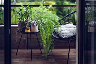 Small balcony table with houseplants and decorative pots