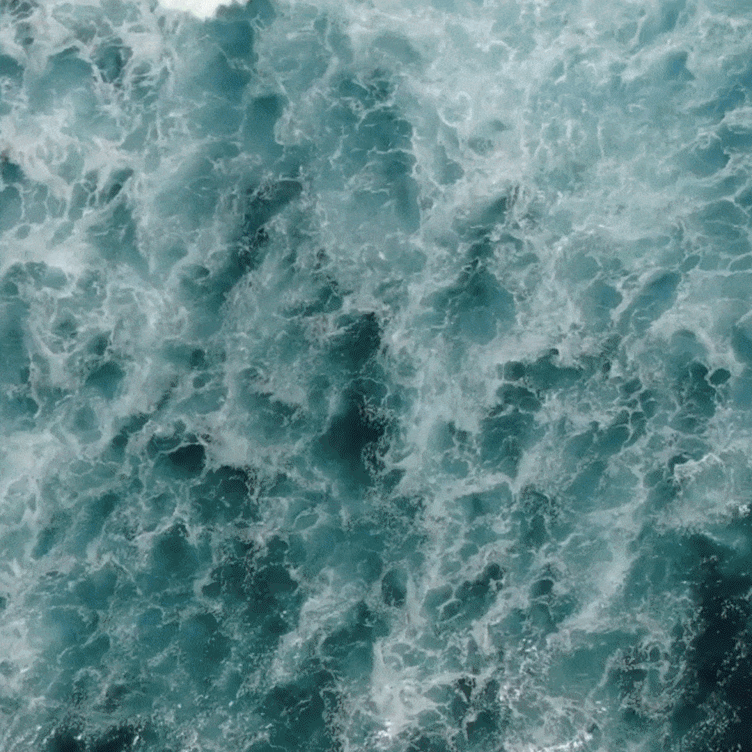 8 Gen Z climate activists 